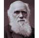 Charles Darwin Presentation